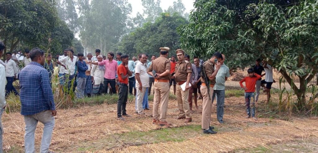 IMG-20241104-WA0054(1)