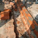 IMG-20241218-WA0024(1)