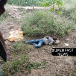 IMG-20241230-WA0059(1)