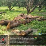 IMG-20250915-WA0064(1)