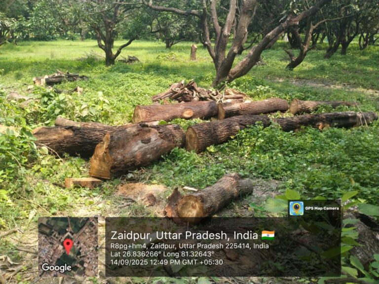 IMG-20250915-WA0064(1)